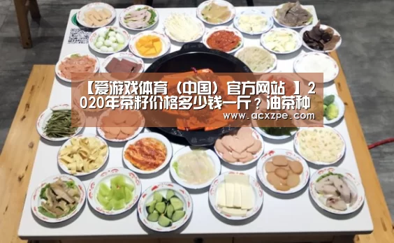 爱游戏体育（中国）官方网站 
