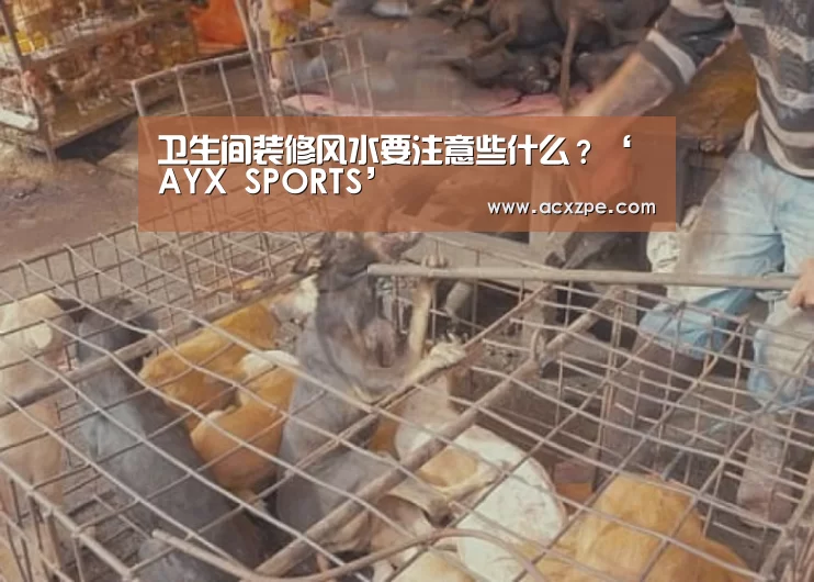  AYX SPORTS